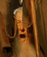 Gandalf: You shall not pass